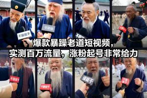 爆款暴躁老道短视频，实测百万流量，涨粉起号非常给力-琴书聊项目