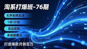 淘系打爆班-76期，无界矩阵实战，1词1计划、竞品矩阵、多链接赛马，打造爆款月销百万-琴书聊项目