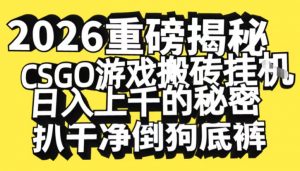 2026开年重磅解密，CSGO游戏搬砖挂G日入1k+的秘密，把倒狗的底裤扒干【揭秘】-琴书聊项目