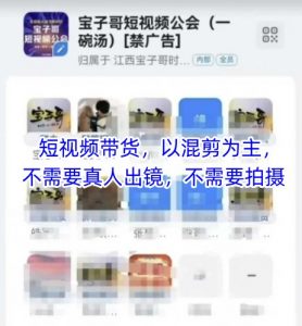 宝子哥头部团队短视频带货,以混剪为主,不需要真人出镜,不需要拍摄【更新11月】-琴书聊项目