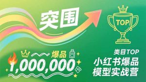 小红书爆品模型实战营,从新品突围到成为类目TOP,可复制路径,打造多个营收百万级爆品-琴书聊项目