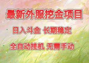 最新外服挖金项目，日入斗金，项目长期稳定，可放大操作，全自动运行，无需手动【揭秘】-琴书聊项目