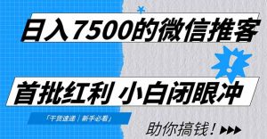 日入7500的微信推客，首批红利，自用省钱、分享赚钱，0门槛小白闭眼冲！-琴书聊项目