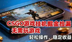 CSGO游戏挂G掘金捡漏，不需要玩游戏，操作简单，收益稳定【揭秘】-琴书聊项目