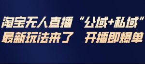 淘宝无人直播完整教程，公试+私域，最新玩法来了，开播即爆单-琴书聊项目