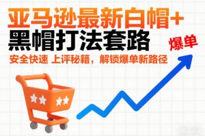 亚马逊最新白帽+黑帽打法套路，安全快速上评秘籍，解锁爆单新路径-琴书聊项目