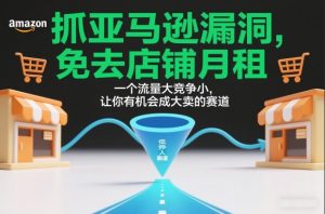 抓亚马逊漏洞，免去店铺月租，一个流量大竞争小，让你有机会成大卖的赛道-琴书聊项目
