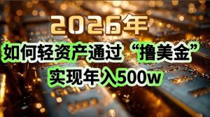 2026年如何轻资产通过“撸美金”实现年入500w-琴书聊项目