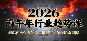 公众号付费文章：2026丙午年行业趋势课：解码丙火午火能量，拆解丙午年年运密码源-琴书聊项目