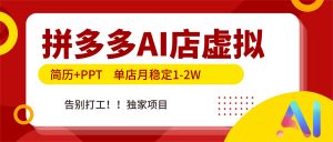 拼多多AI店，简历+PPT，单店月稳定1-2W，告别打工，独家项目！-琴书聊项目