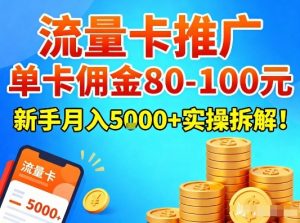 流量卡推广，单卡佣金80-100，新手月入5k+实操拆解！-琴书聊项目