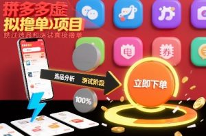 拼多多虚拟撸单项目，跳过选品和测试直接撸单-琴书聊项目