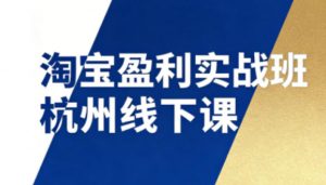 淘宝盈利实战班杭州线下课12月26-28日(音频+字幕)，帮你掌握SOP流程+12门核心技术-琴书聊项目