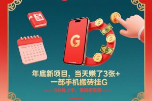 年底新项目，当天賺了3张+，一部手机搬砖挂G，5分钟上手，保姆级教程【揭秘】-琴书聊项目