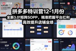 拼多多特训营12-1月份，全新3.01矩阵Sop，精准把握平台红利，高效提升店铺业绩-琴书聊项目