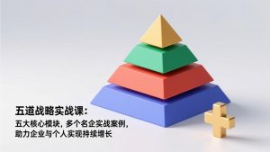 五道战略实战课:五大核心模块,多个名企实战案例,助力企业与个人实现持续增长-琴书聊项目