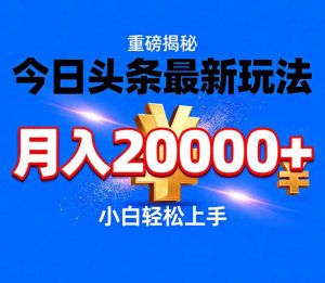 今日头条代运营最新玩法，轻轻松松月入20000＋-琴书聊项目