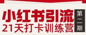小红书引流21天打卡训练营第二期，助你快速打通小红书私域引流打粉-琴书聊项目