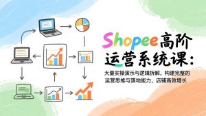 Shopee高阶运营系统课：大量实操演示与逻辑拆解，构建完整的运营思维与落地能力，店铺高效增长-琴书聊项目