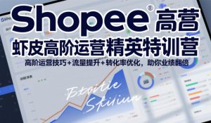 Shopee虾皮高阶运营精英特训营,高阶运营技巧+流量提升+转化率优化,助你业绩翻倍-琴书聊项目