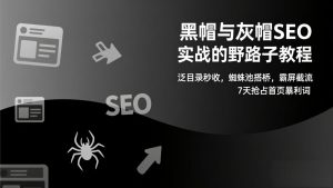 黑帽与灰帽SEO实战的野路子教程：泛目录秒收，蜘蛛池搭桥，霸屏截流，7天抢占首页暴利词-琴书聊项目