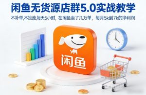 闲鱼无货源店群5.0实战教学，不补单，不投流，每天5小时，在闲鱼卖了几万单，每月5k到7k的净利润-琴书聊项目