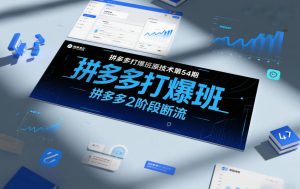 拼多多打爆班原创技术第54期，拼多多2阶段断流-琴书聊项目