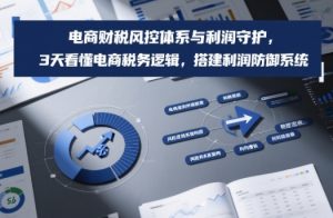 电商财税风控体系与利润守护，3天看懂电商税务逻辑，搭建利润防御系统-琴书聊项目