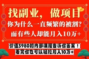 价值3980的网创内部课程，告诉你互联网创业月入10个W的秘密【揭秘】-琴书聊项目