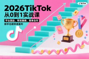 2026TikTok从0到1实战课，平台激励、带货賺佣、商单合作，新手也能快速盈利(3天直播课)-琴书聊项目