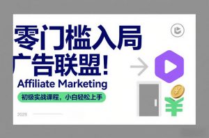 零门槛入局广告联盟！Affiliate Marketing初级实战课程，小白轻松上手-琴书聊项目
