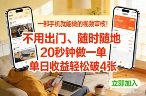 一部手机就能做的视频审核！不用出门，随时随地，20秒钟做一单，单日收益轻松破4张【揭秘】-琴书聊项目