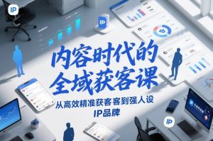 内容时代的全域获客课,从高效精准获客到强人设IP品牌-琴书聊项目