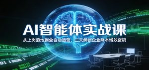 AI智能体实战课:从上岗落地到全自动运营,三天解锁企业降本增效密码-琴书聊项目