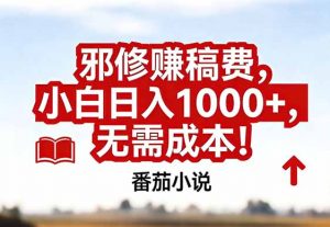 番茄小说赚稿费邪修玩法无需成本，真实日入1000+，超级简单！-琴书聊项目