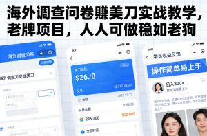 海外调查问卷賺美刀实战教学,老牌项目,人人可做稳如老狗-琴书聊项目