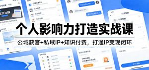 个人影响力打造实战课：公域获客+私域IP+知识付费，打通IP变现闭环-琴书聊项目