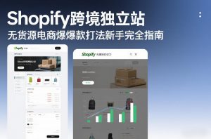 Shopify跨境独立站无货源电商爆款打法新手完全指南-琴书聊项目