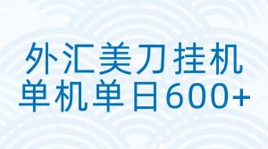 外汇美刀挂机：全自动挂机赚美金，单机600+-琴书聊项目