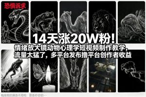 14天涨20W粉!情绪放大镜动物心理学短视频制作教学,流量太猛了,多平台发布撸平台创作者收益-琴书聊项目