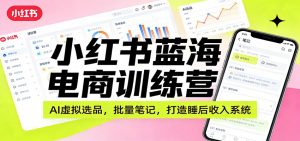 小红书蓝海电商训练营:AI虚拟选品,批量笔记,打造睡后收入系统-琴书聊项目