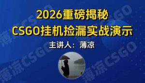 CSGO游戏挂机游戏搬砖最新升级，普通小白一部手机可日入300+当天见结果，支持验证-琴书聊项目