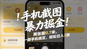 手机截图暴力掘金！两张图0.7米，一部手机搞定，轻松日入3张【揭秘】-琴书聊项目
