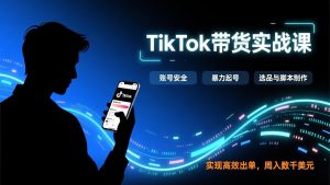 TikTok带货实战课，涵盖账号安全、暴力起号、选品与脚本制作，实现高效出单，周入数千美元-琴书聊项目