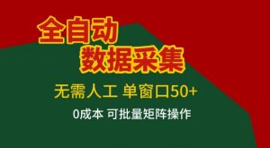 全自动数据采集项目，无需人工，单窗口可达50+收益，操作简单无难度，一个人也能轻松实现矩阵【揭秘】-琴书聊项目