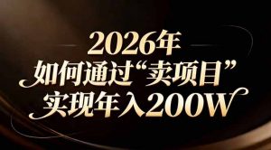 站在2026年的十字路口：一个普通人如何通过卖项目实现年入200万-琴书聊项目