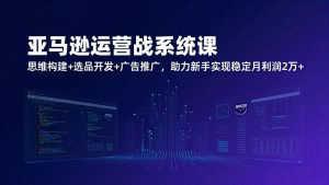 亚马逊运营实战系统课，思维构建+选品开发+广告推广，助力新手实现稳定月利润2万+(更新-琴书聊项目