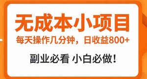无成本小项目 每天操作几分钟，真实日收益800+ 副业必看 小白必做！-琴书聊项目