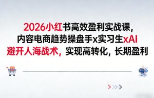 2026小红书高效盈利实战课，内容电商趋势操盘手x实习生xAI，避开人海战术，实现高转化，长期盈利-琴书聊项目
