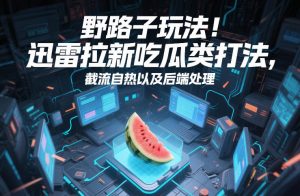 野路子玩法！迅雷拉新吃瓜类打法，截流自热以及后端处理-琴书聊项目